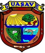 DIRECCION DE ECOLOGIA Y SUSTENTABILIDAD AMBIENTAL GUASAVE