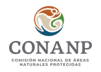 Área de Protección de Flora y Fauna Playa Delfines Cancún