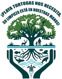 Colectivo Playa Tortugas