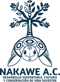 desarrollo sustentable cultura y conservación de vid silvestre Nakwe a.c