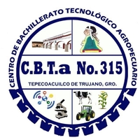 CBTA 315