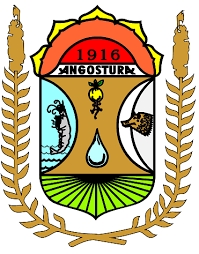 H. AYUNTAMIENTO DEL MUNICIPIO DE ANGOSTURA