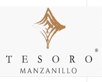 AMX MANZANILLO HOLDINGS S. DE R.L. DE C.V