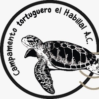 CAMPAMENTO TORTUGUERO EL HABILLAL A. C.