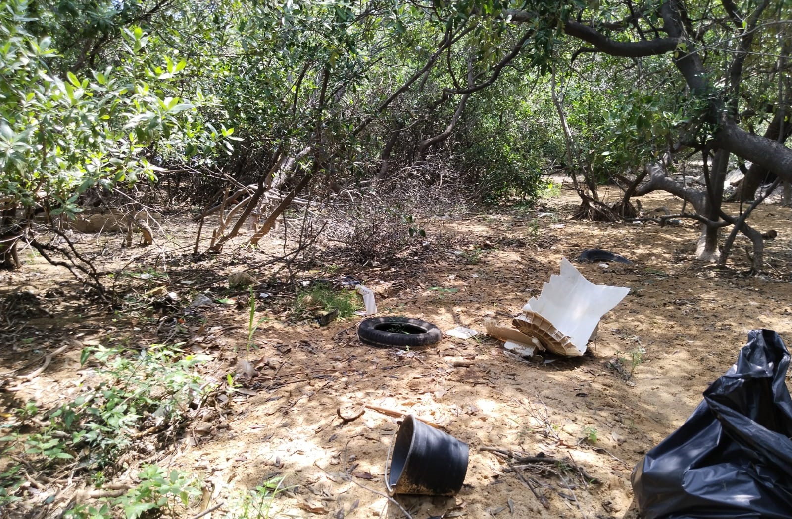 LIMPIEZA MENSUAL DE SEPTIEMBRE 2025 EN BAHÍA LA VENTOSA, SALINA CRUZ, OAXACA