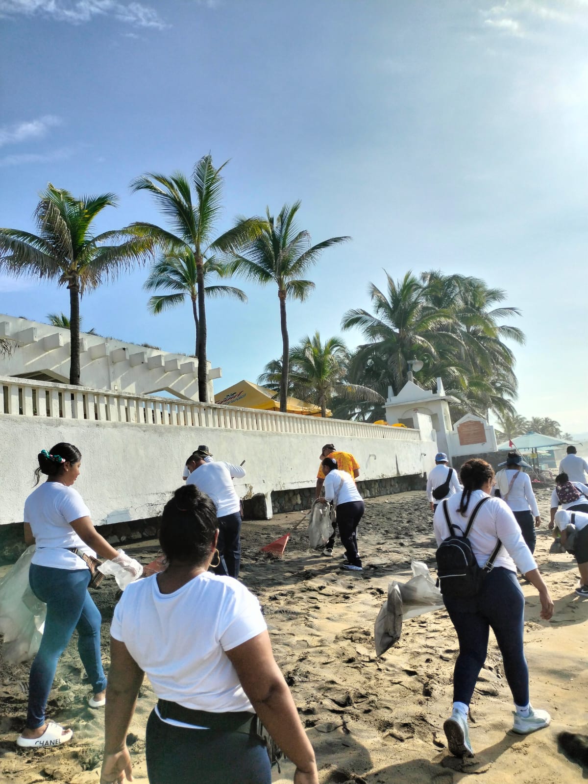 Limpieza de playa Miramar, octubre 2025