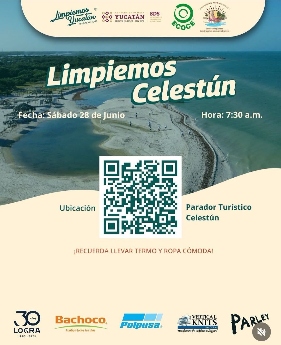 Limpieza de playas en Celestún