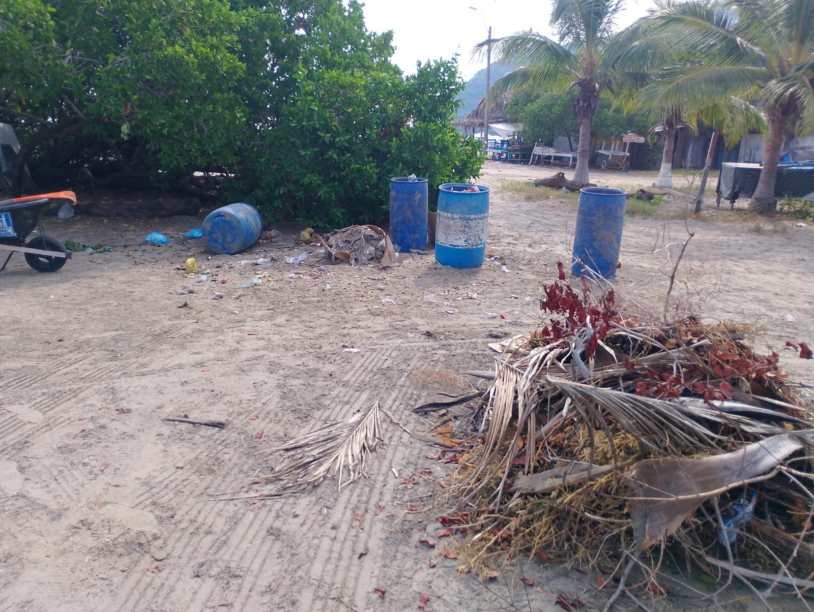 Playa La Boquita de Miramar, en Manzanillo, Colima, lista para recibir al turismo