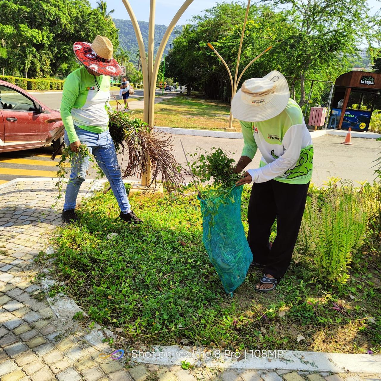 Limpieza Playa El Palmar