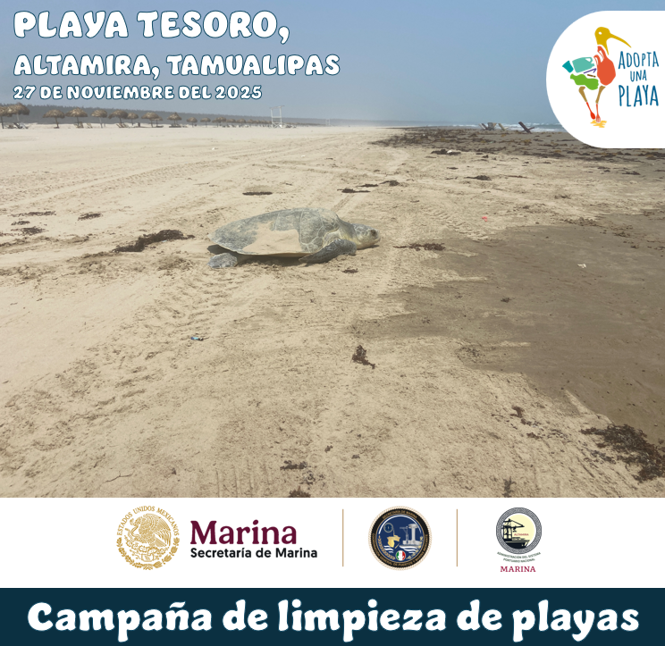 Limpieza de playa Tesoro - Semana Verde 2025 ASIPONA Altamira