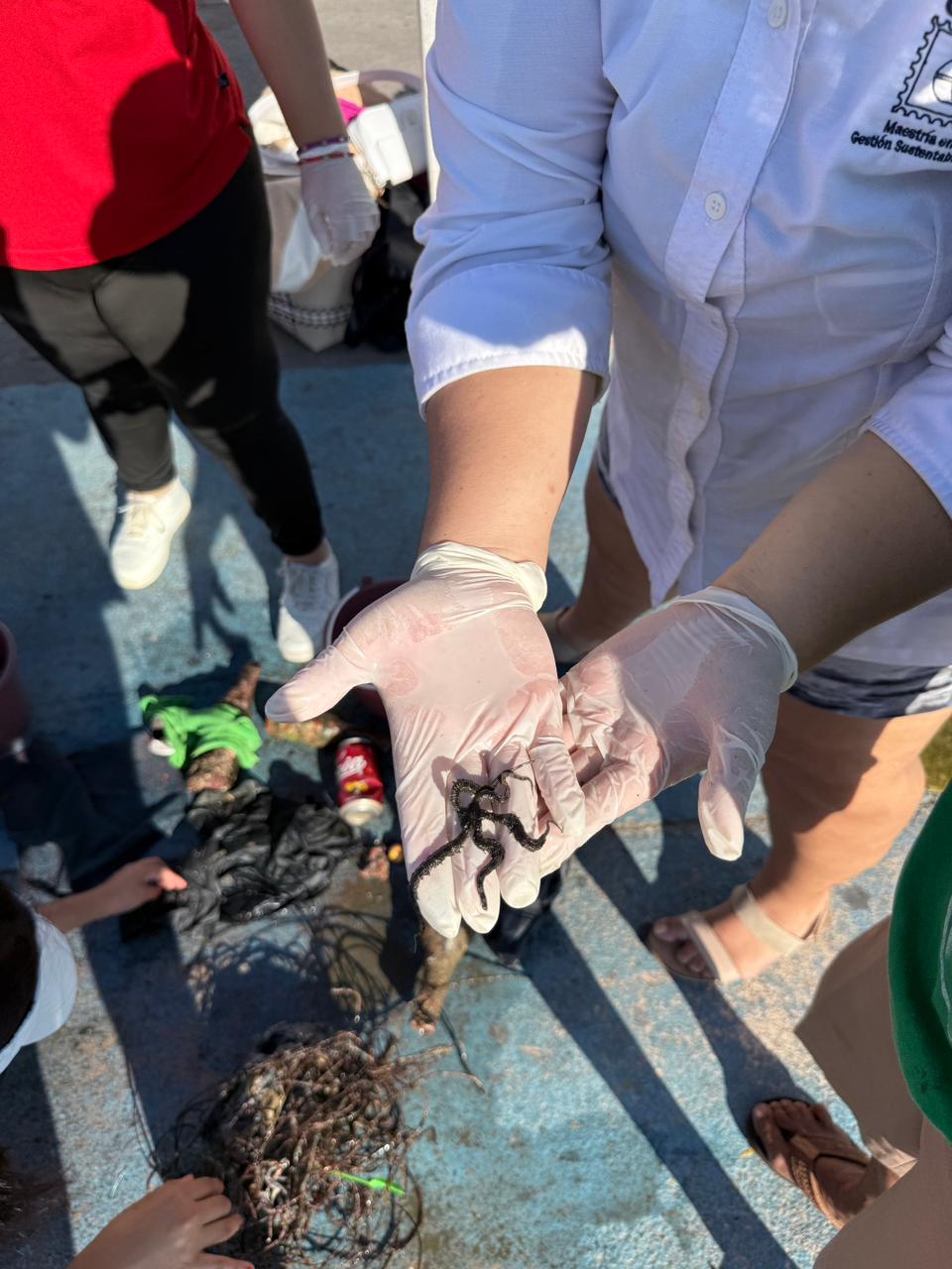 Limpieza de Fondo Marino en el Marco de la Educación Ambiental