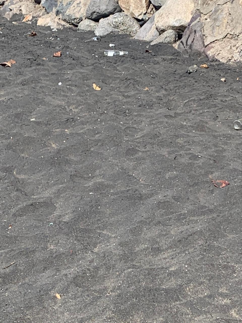 Para iniciar con la actividad de limpieza en este 2026 en la Playa Miramar, la UNIÓN GUILLERMO REYES LAGUNA se organizó con sus agremiados para recolección de desechos