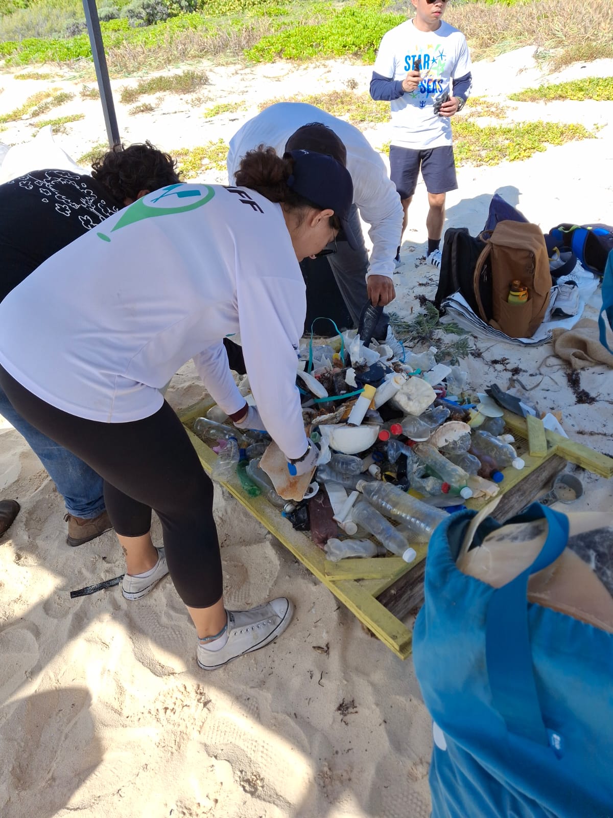 SAVE - Ixpalbarco Sexta Limpieza