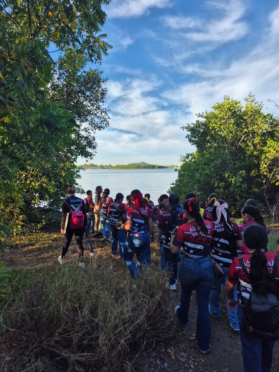 “Cuidemos los Manglares” llega a su 13ª campaña en la sede del  Estero de Urías en  Mazatlán,