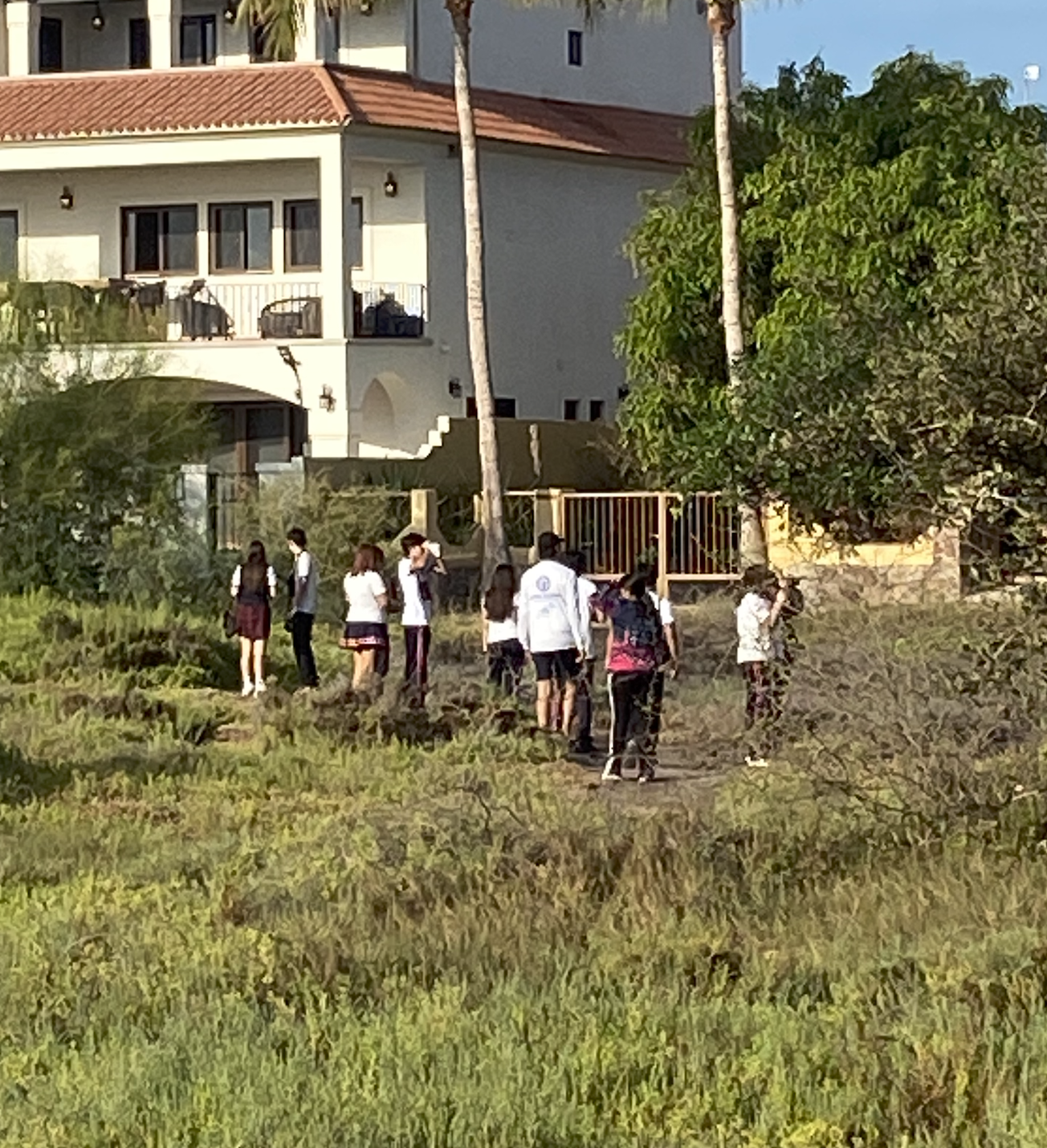 avistamiento de aves en el estero La Negrita