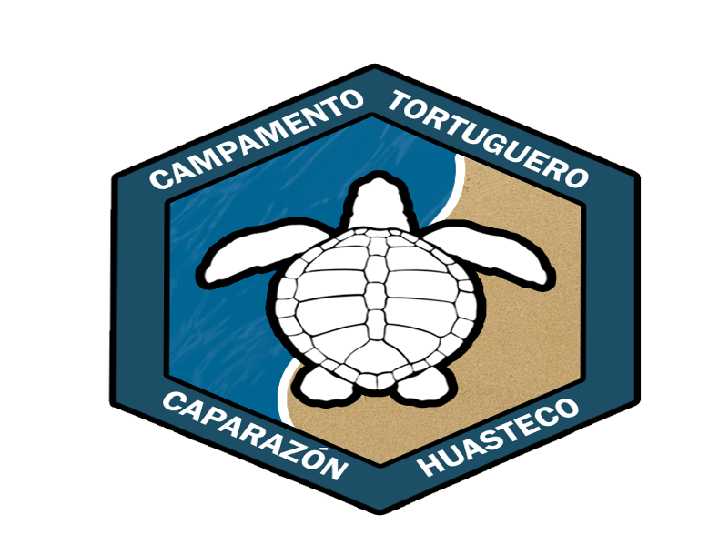 Campamento Tortuguero Caparazón Huasteco