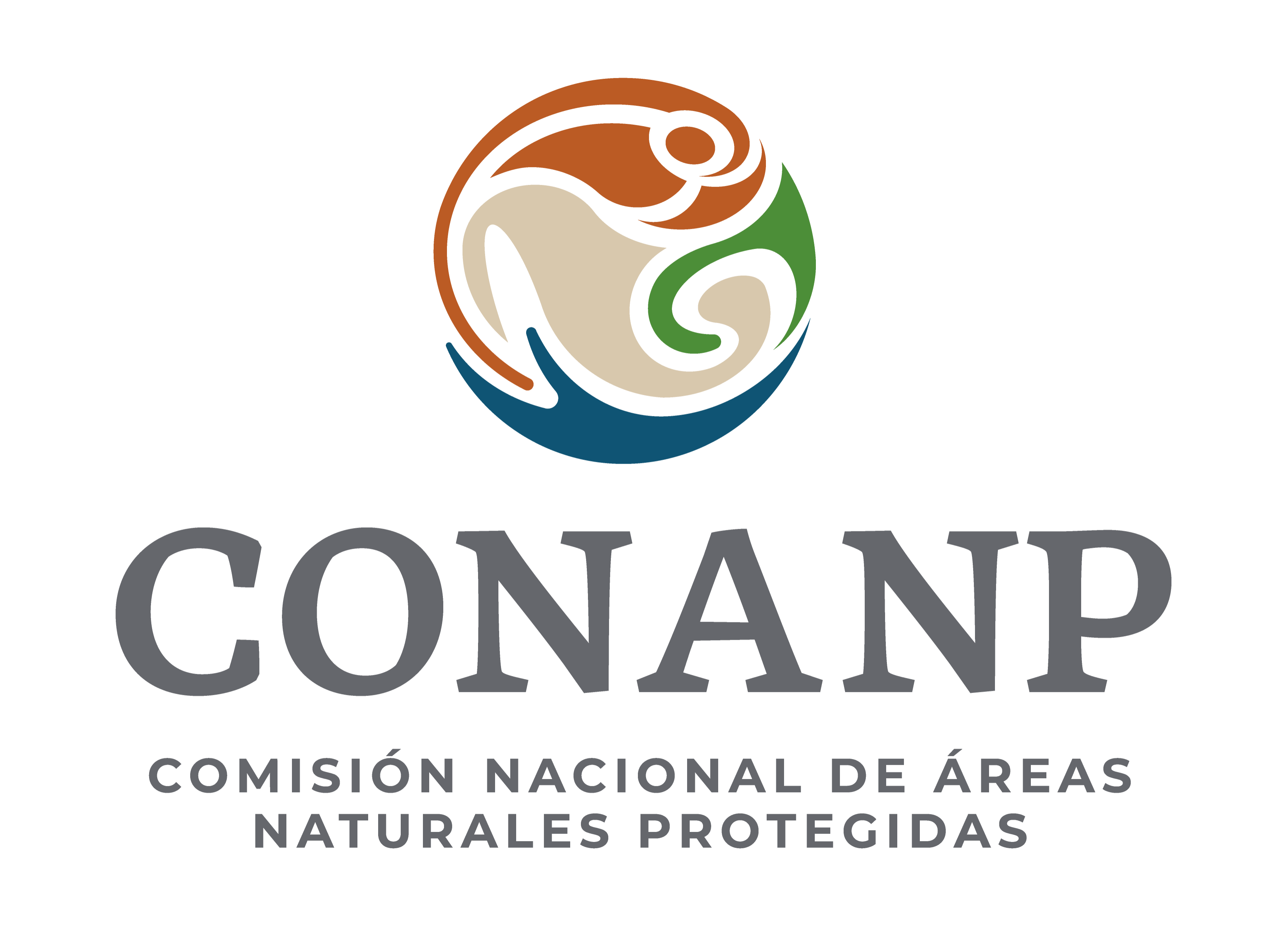 APFYF Manglares de Puerto Morelos