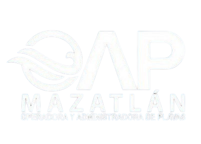 calidad.oapm@gmail.com