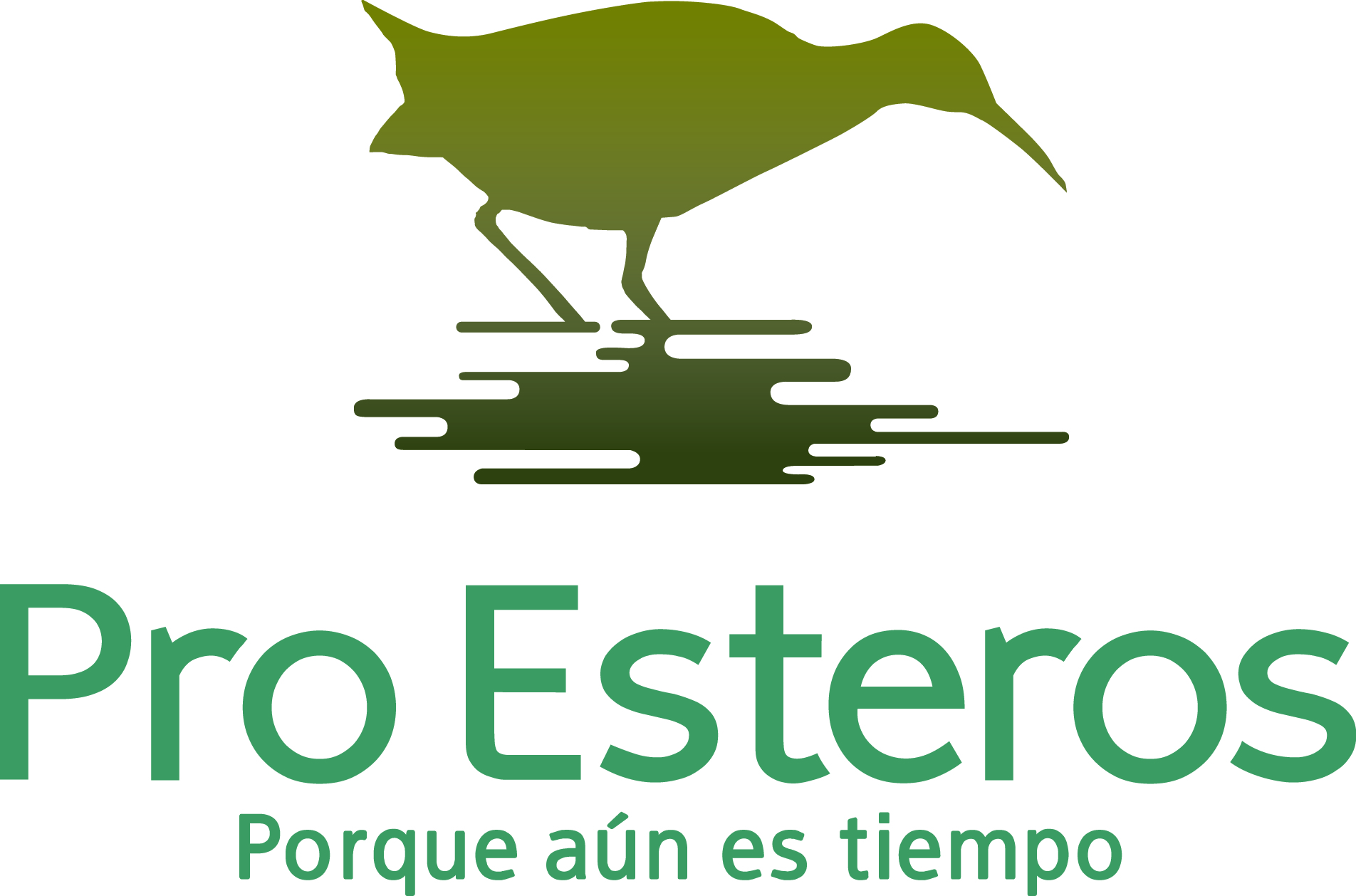 Pro Esteros A.C.