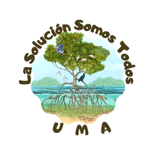 “Unidad de Manejo La Solución Somos Todos”