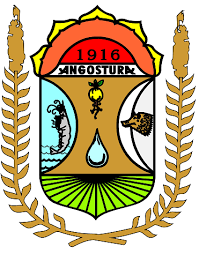 H. AYUNTAMIENTO DEL MUNICIPIO DE ANGOSTURA