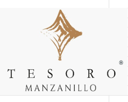 AMX MANZANILLO HOLDINGS S. DE R.L. DE C.V