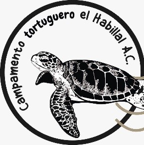 CAMPAMENTO TORTUGUERO EL HABILLAL A. C.